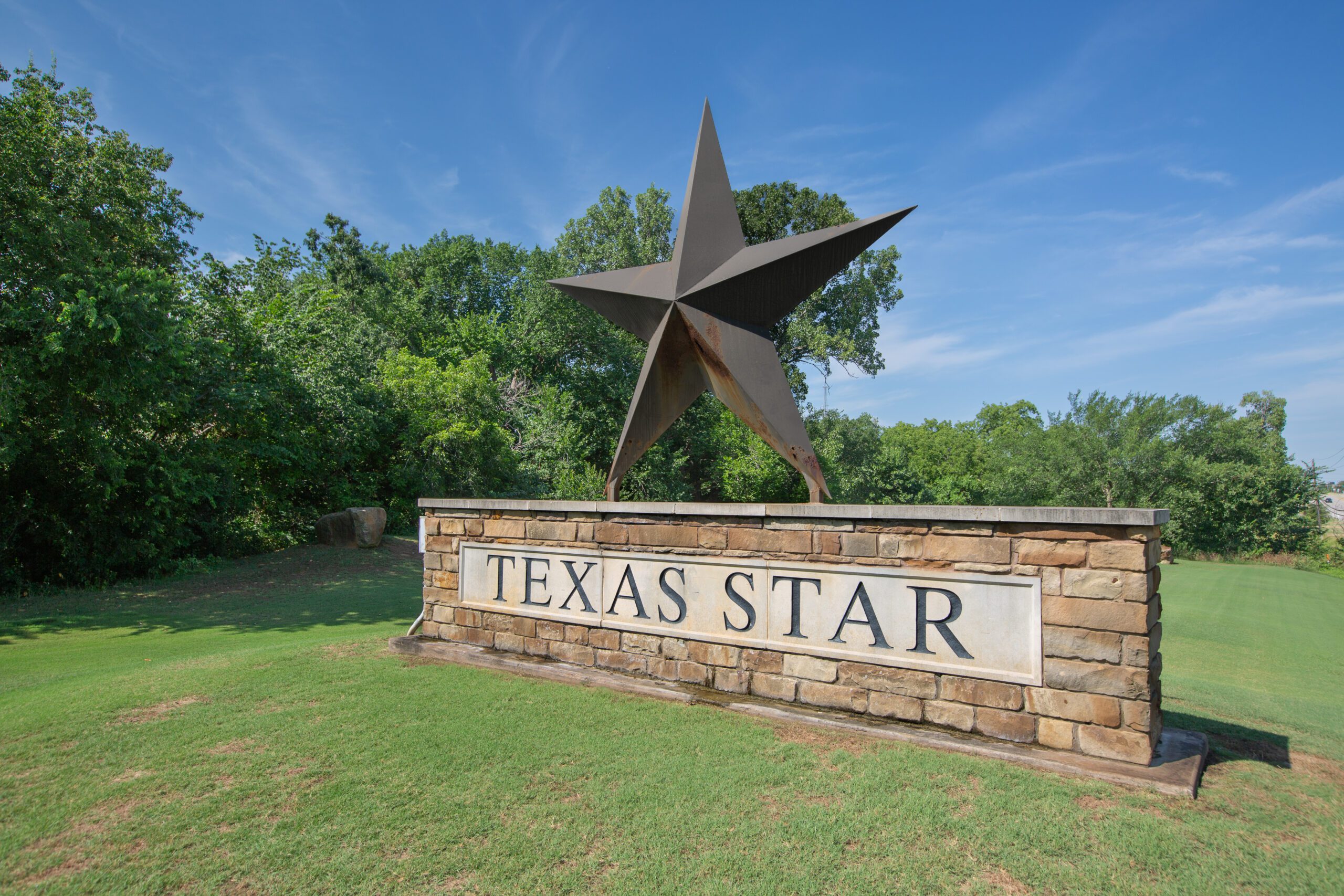 Artificial grass projects in Euless, TX