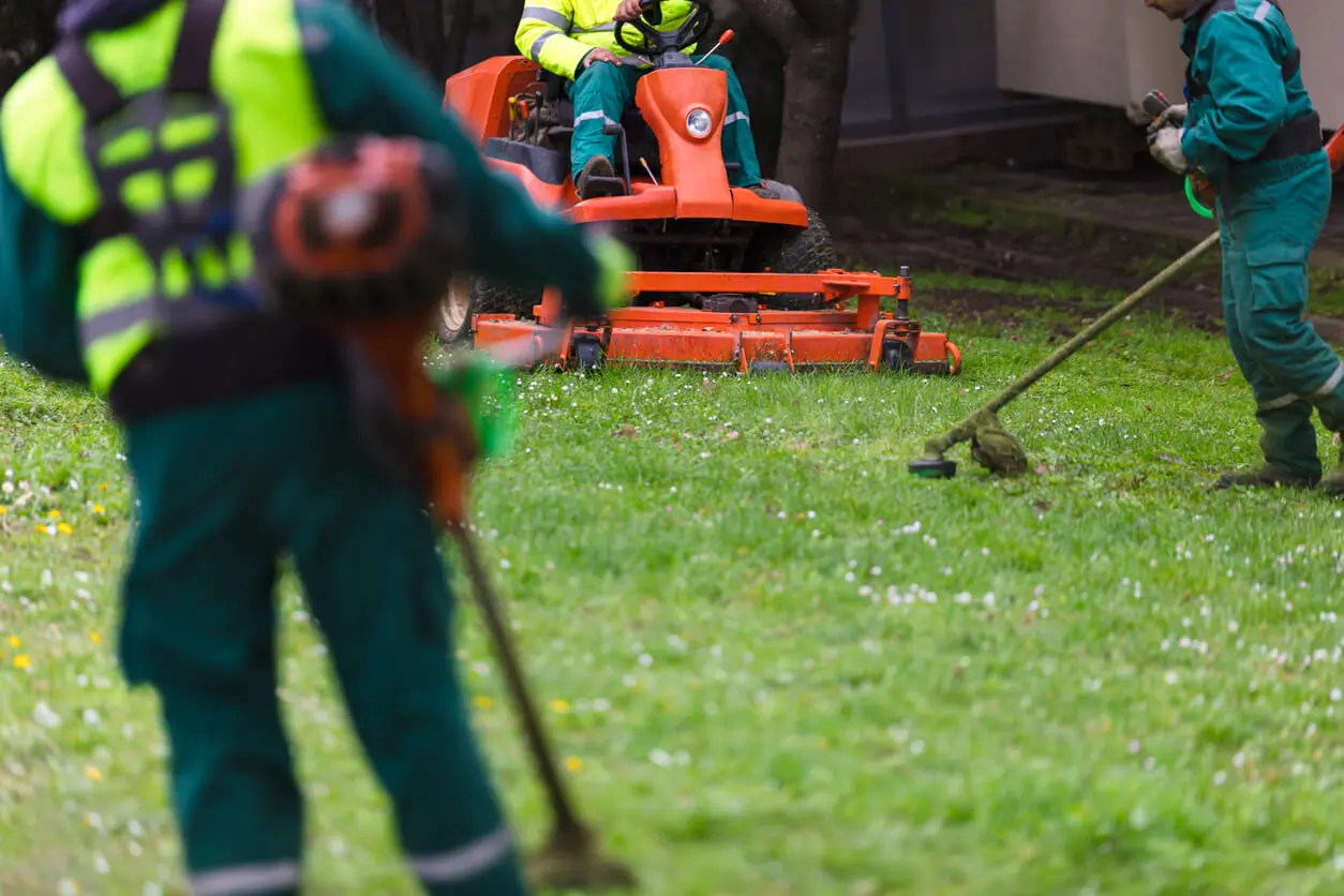 Artificial Turf Cleaning
